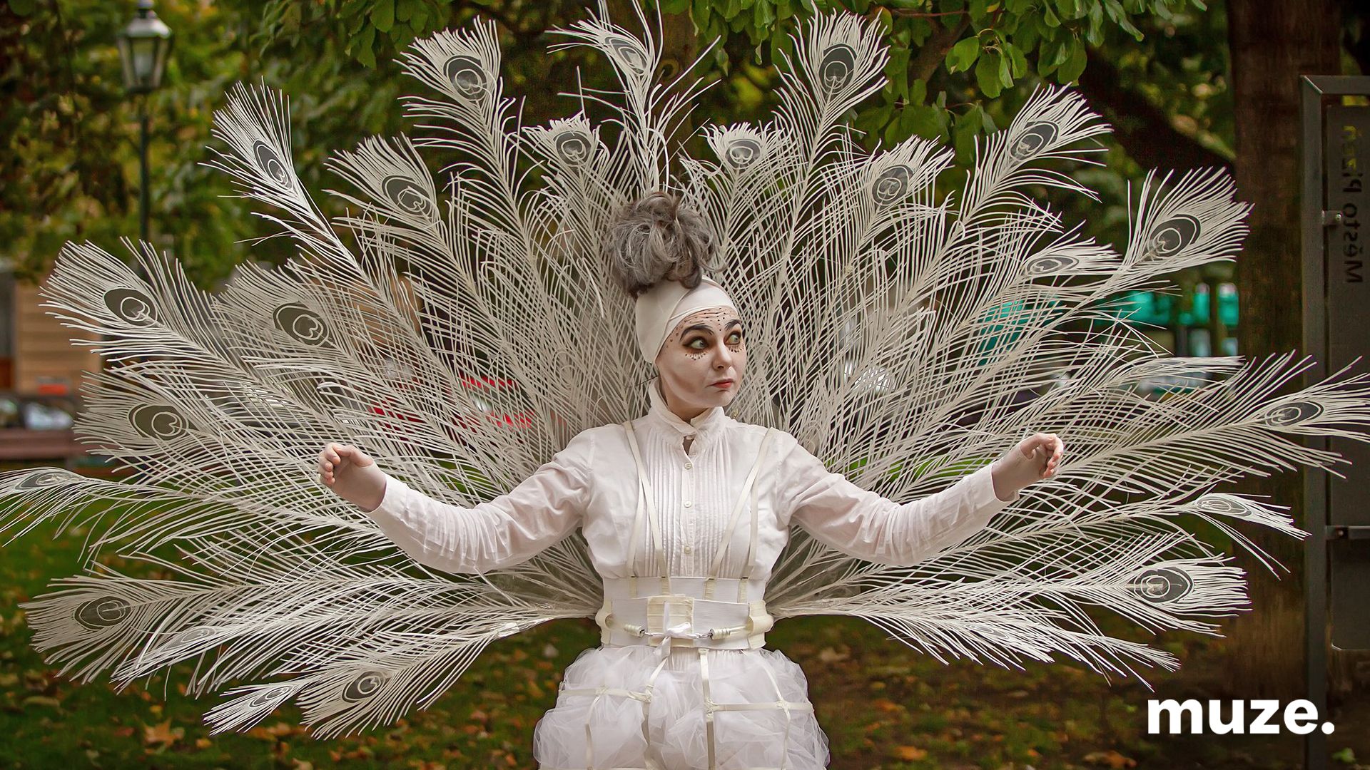 2314 & 2589-Street Theatre - The Royal Peacock and Mr Mapas