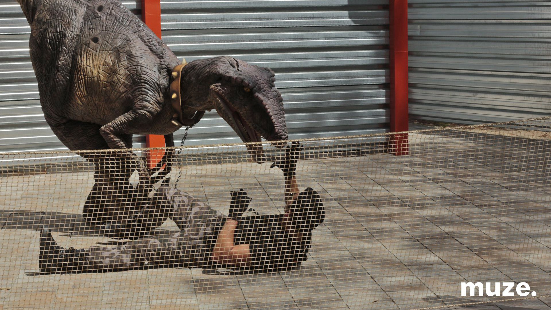 2919-Roaming Puppet - Dinosaur 3